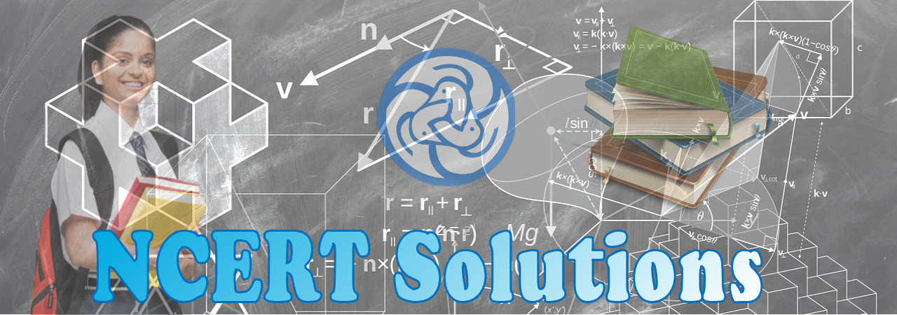 Class 6 Ncert Maths Solutions