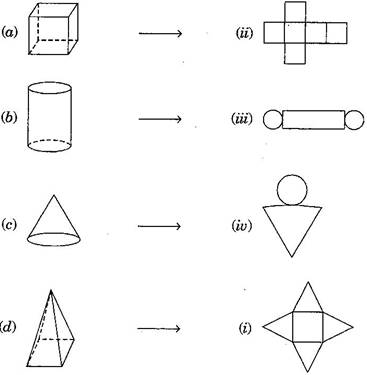 NCERT Solutions class-7 Maths Visualizing Solid Shapes Ex-15.1