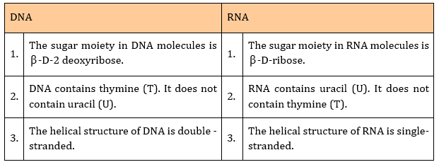 NCERT Solutions Class 12 Chemistry Biomolecules Part 2