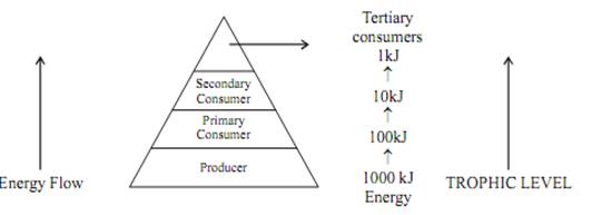 our-environment-class-10-notes-science-mycbseguide-cbse-papers