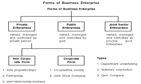 Forms Of Business Organisation Chart