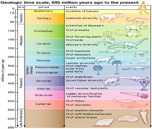 Notes Of Chapter The Origin And Evolution Earth - The Earth Images ...