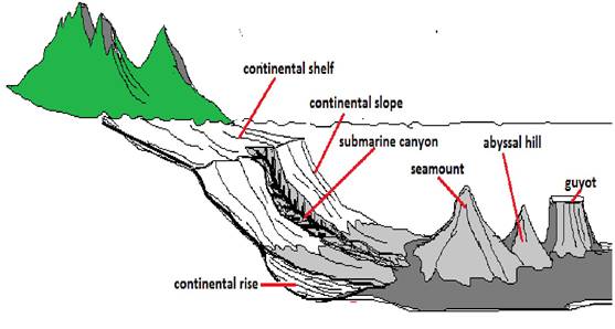 Distribution Of Oceans And Continent Class 11 Notes Geography